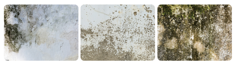 d6dac7ba2680d7b34b6ebe53f0abf208.jpg 未標題-1.jpg